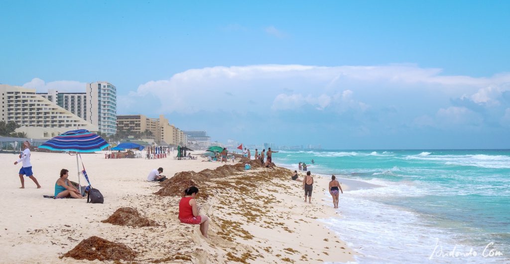 Strandtreiben Dolphin Beach