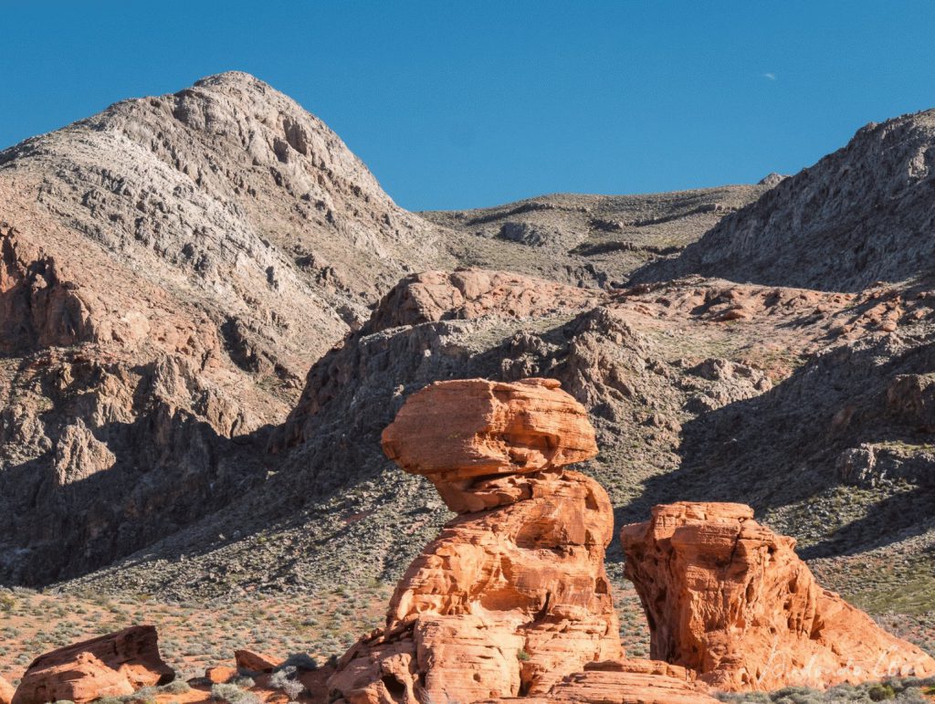 Valley of Fire - Felsen