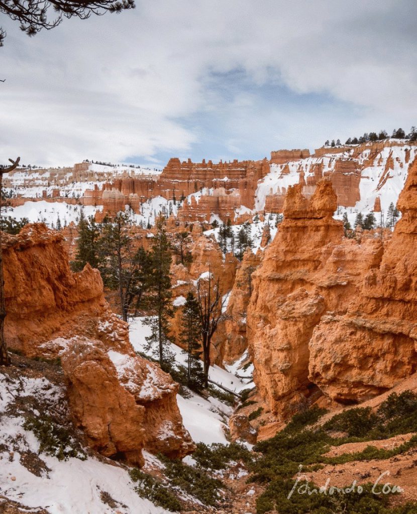 Bryce Canyon Queens Garden Trail