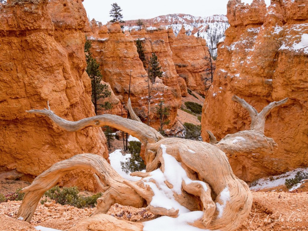 Bryce Canyon Queens Garden Trail