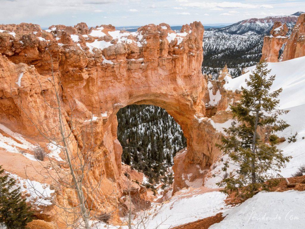 Bryce Canyon Natural Bridge