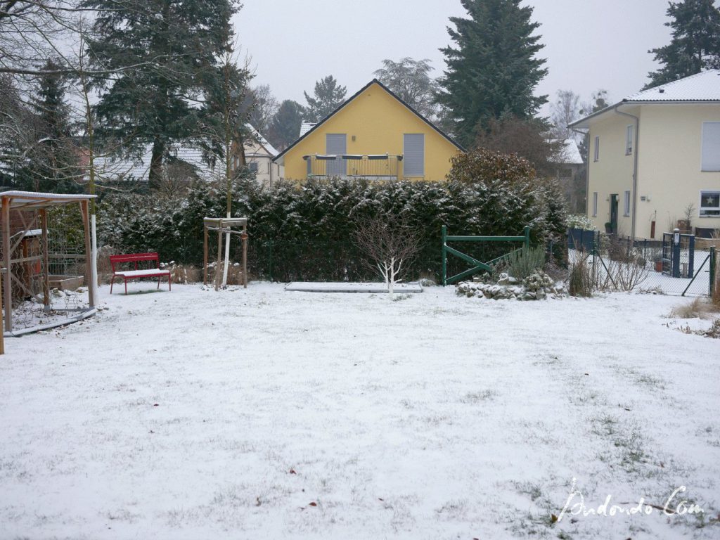 Garten im Schnee