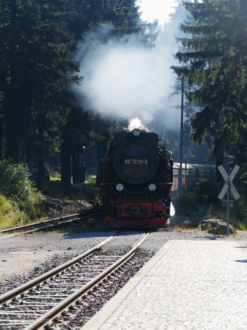 Harzer Brockenbahn