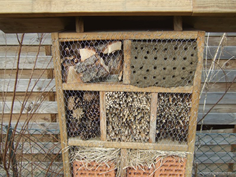 Insektenhotel