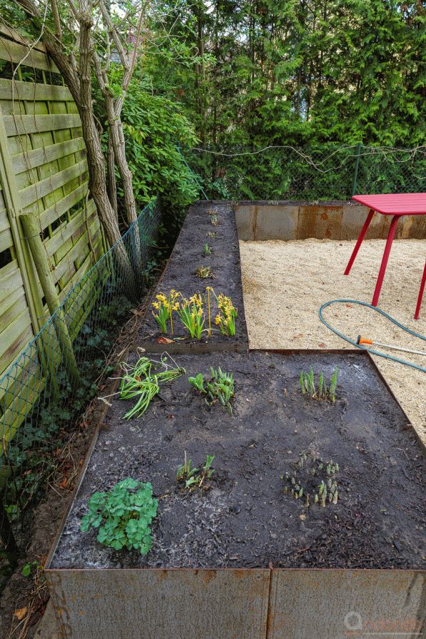 Komplettes Hochbeet mit Hosta bepflanzt und angegossen