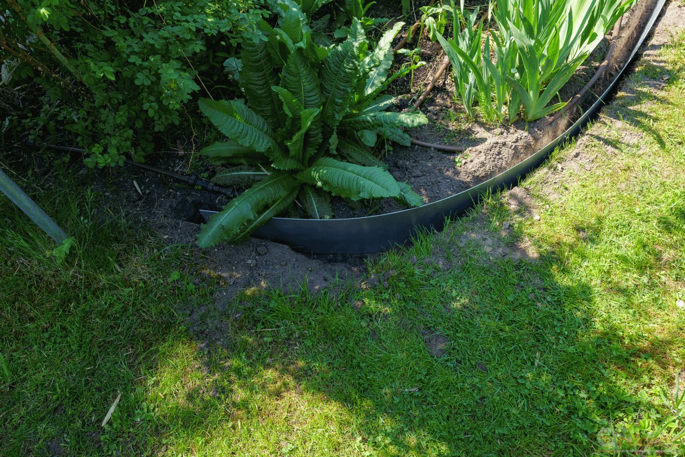 Rasenkanten eingebaut