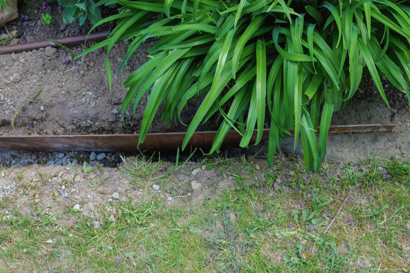 Rasenkanten eingebaut und mit Beton fixiert