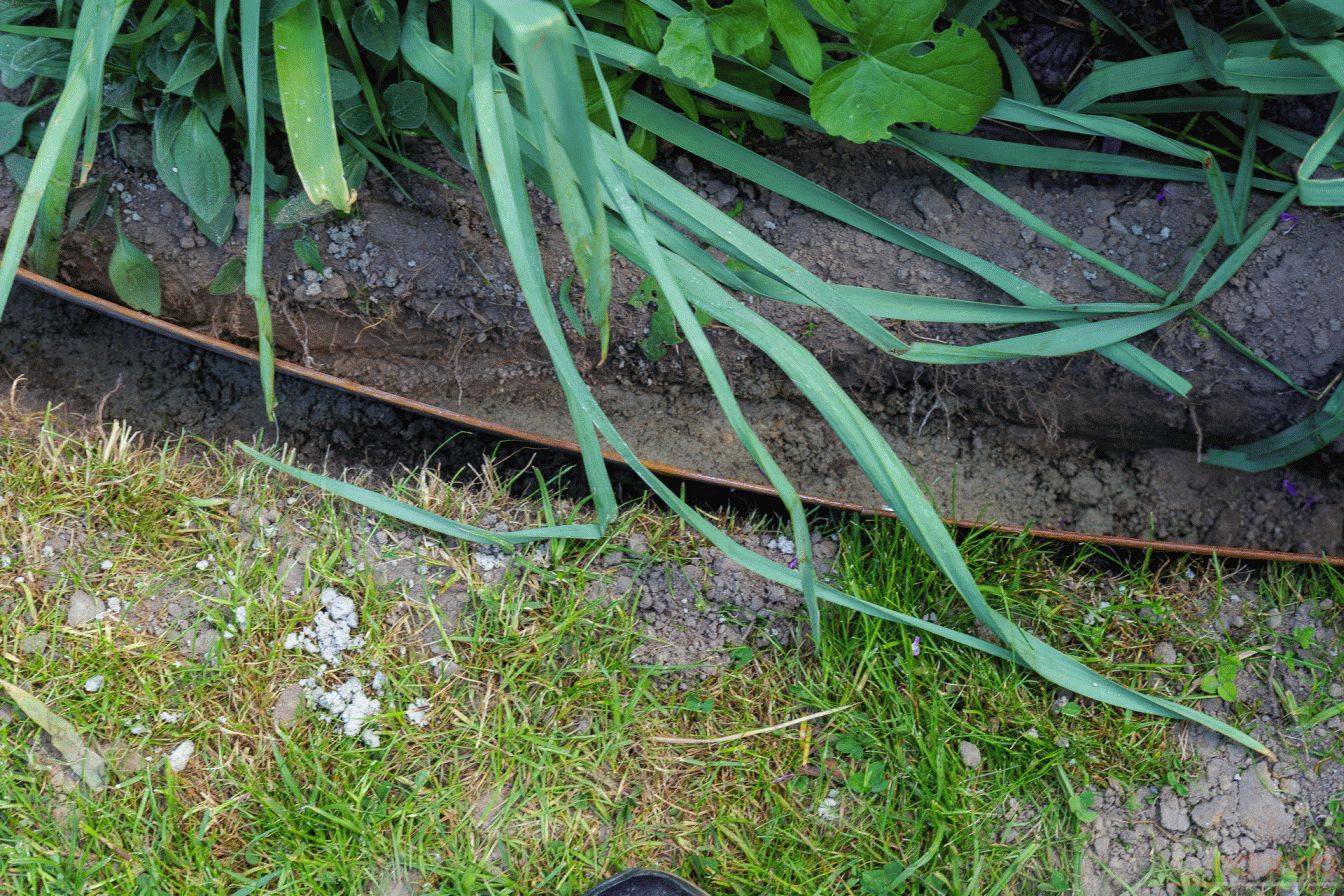 Rasenkanten eingebaut und mit Beton fixiert