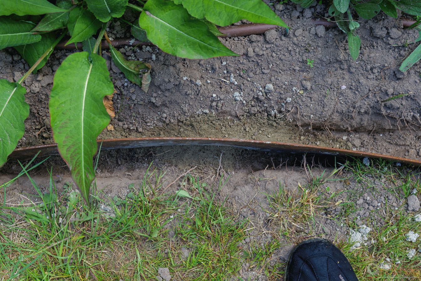 Rasenkanten eingebaut und mit Beton fixiert