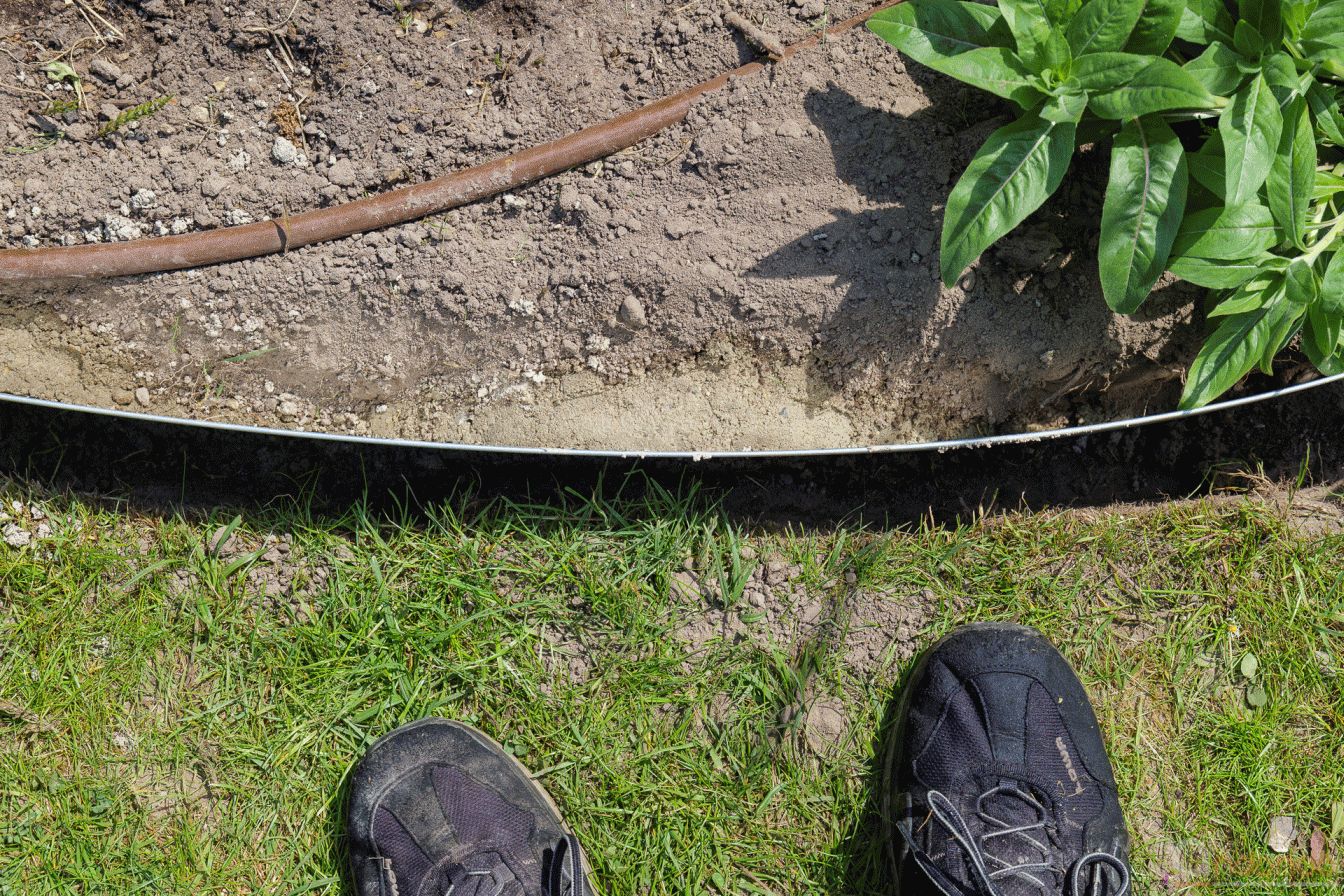 Rasenkanten eingebaut und mit Beton fixiert