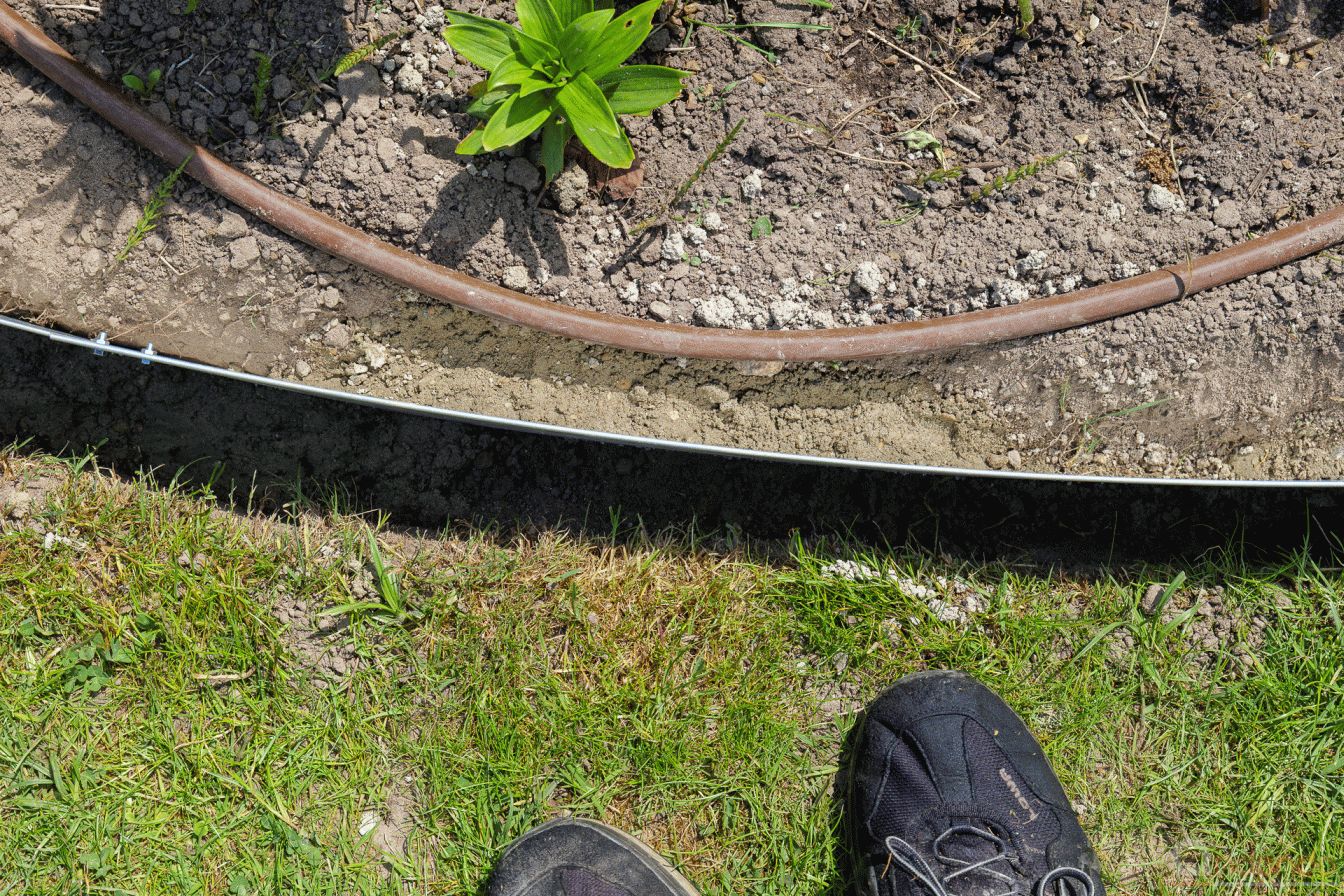 Rasenkanten eingebaut und mit Beton fixiert