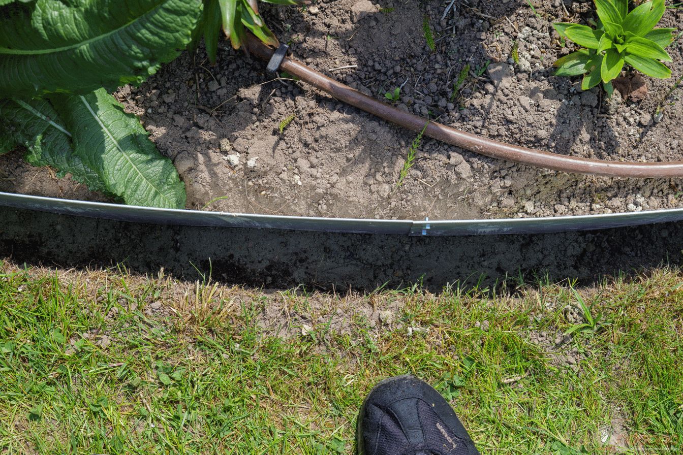Rasenkanten eingebaut und mit Beton fixiert