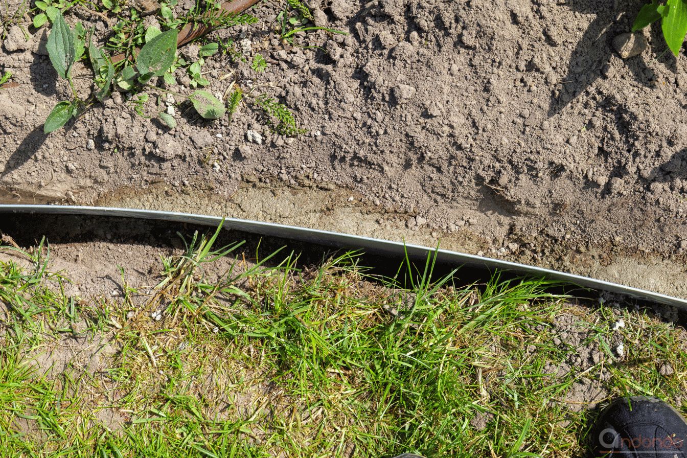 Rasenkanten eingebaut und mit Beton fixiert