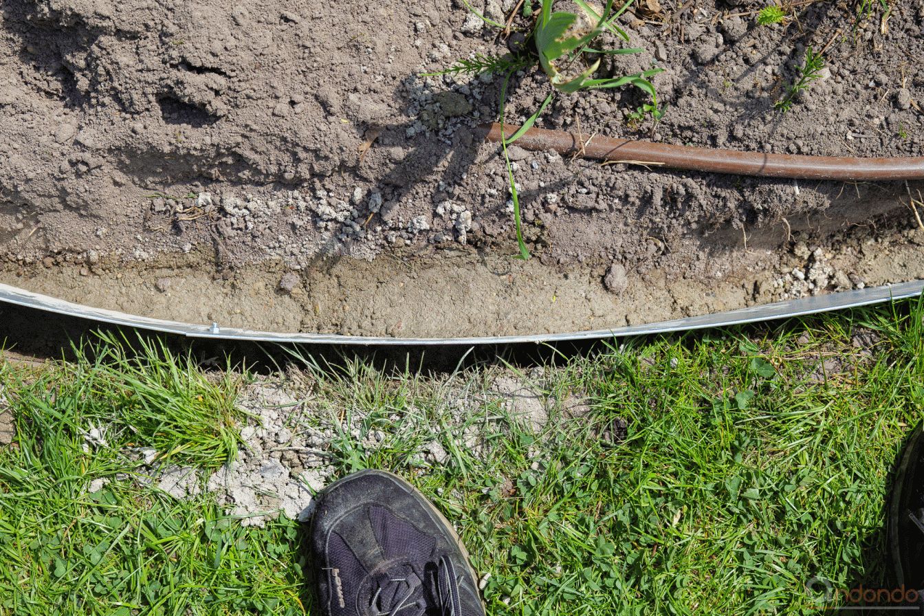 Rasenkanten eingebaut und mit Beton fixiert