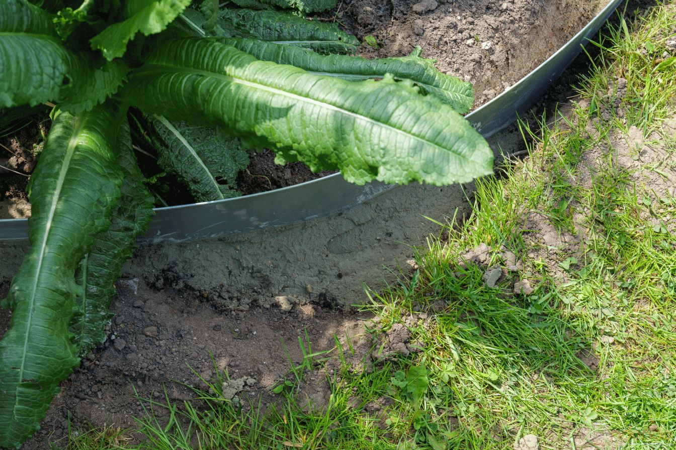 Rasenkanten eingebaut und mit Beton fixiert