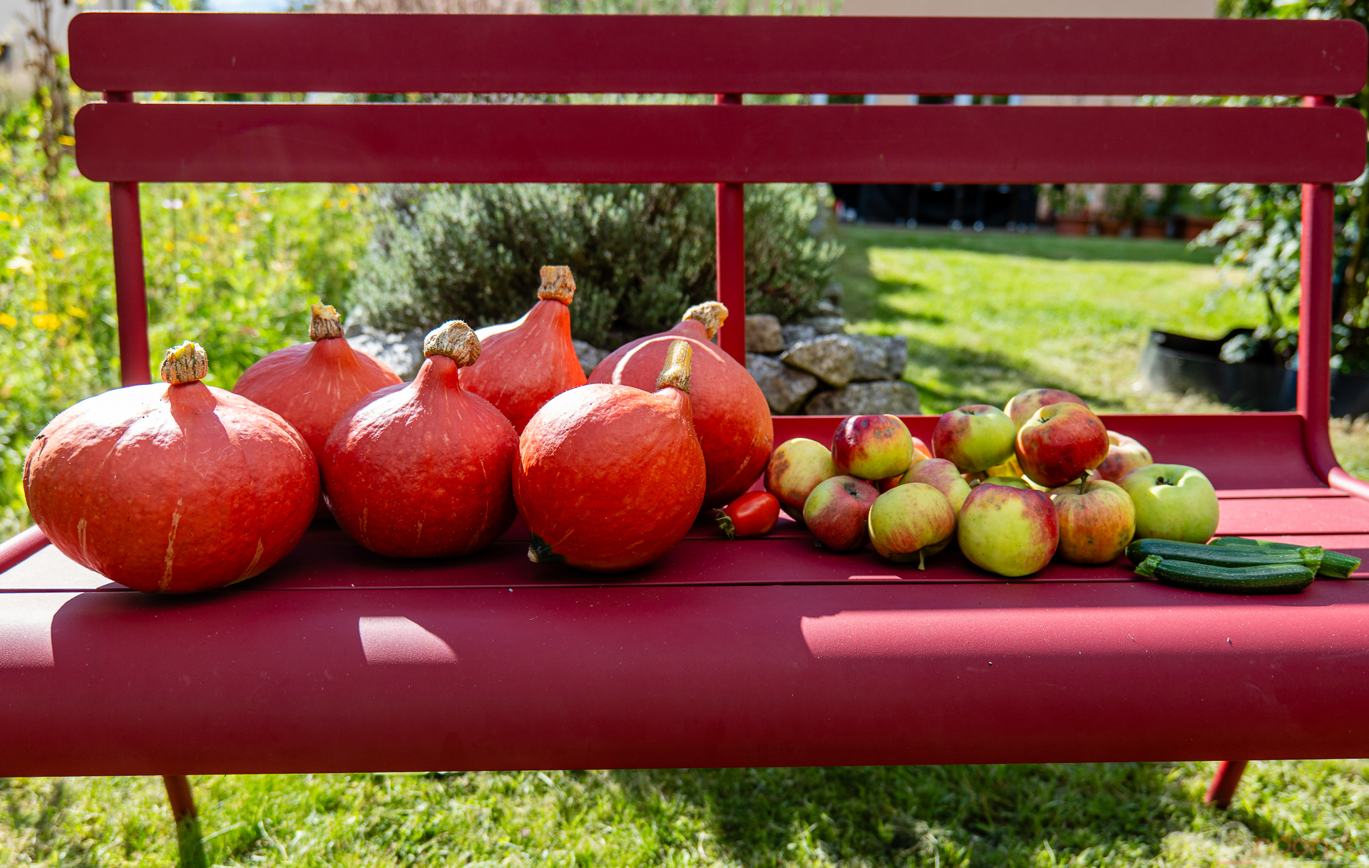 Kürbisse und anderes Gemüse