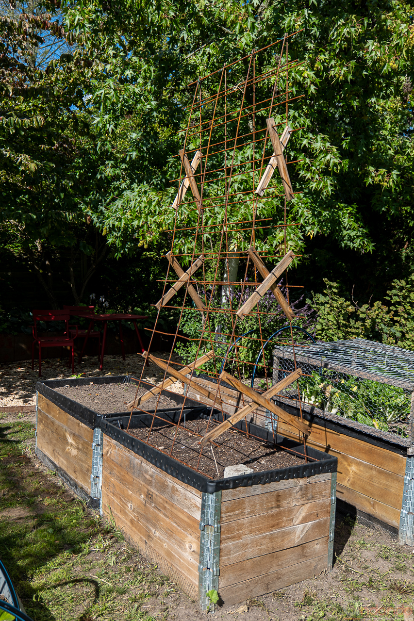 Zucchini und Kürbisse aus den Hochbeeten entfernt