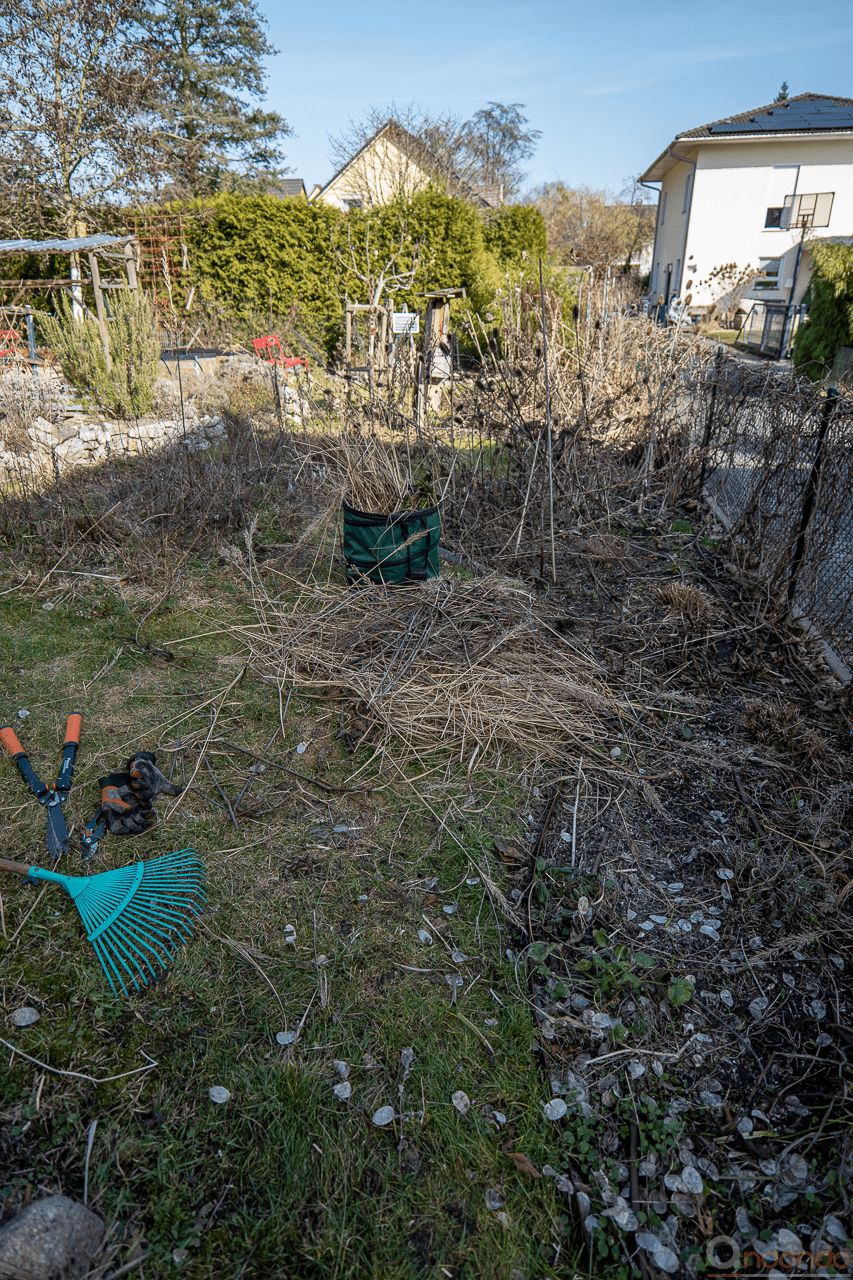 Aufräumen des Staudenbeets