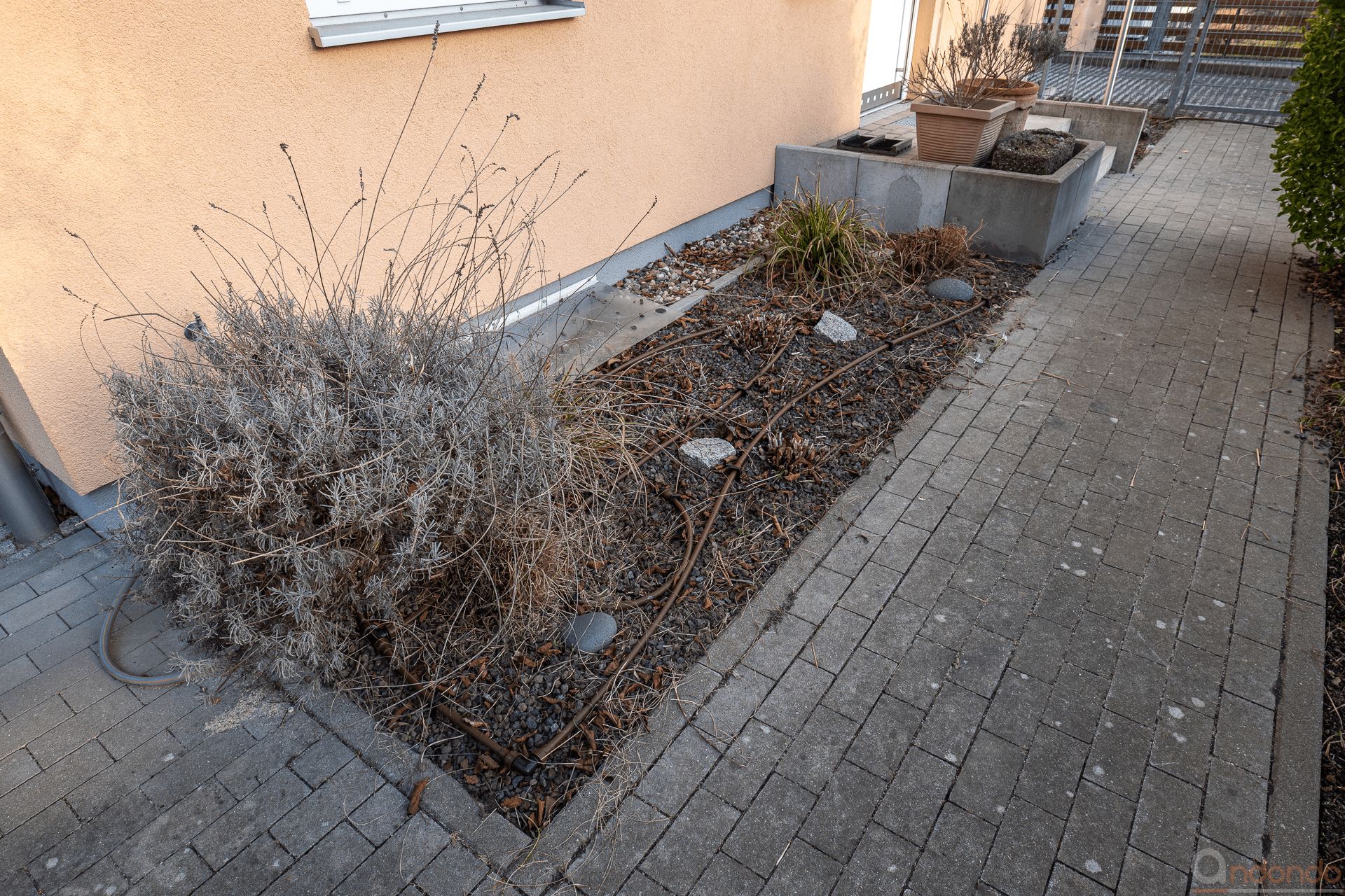 Gesäubertes Beet im Vorgarten