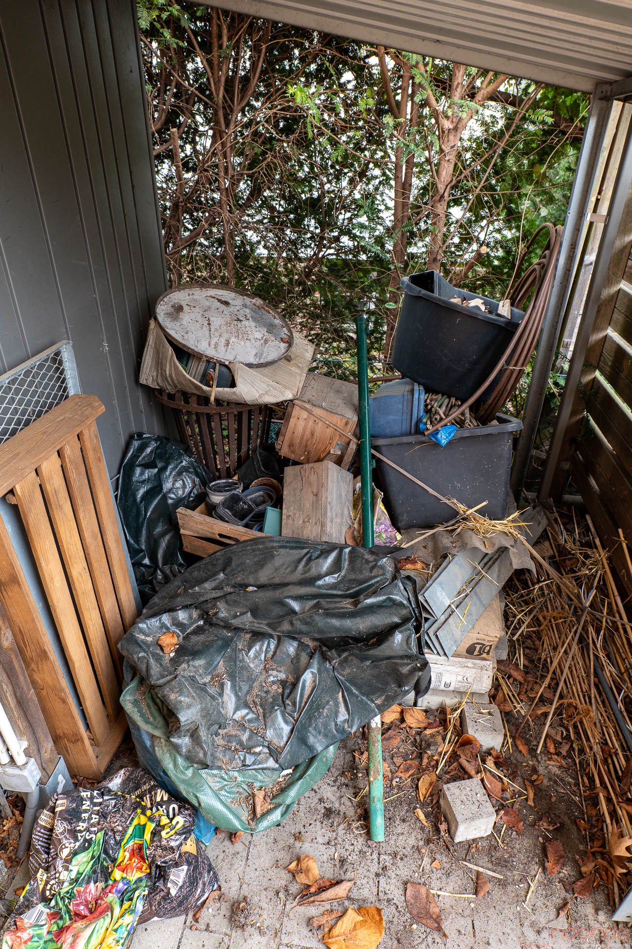 Die Ausgangssituation