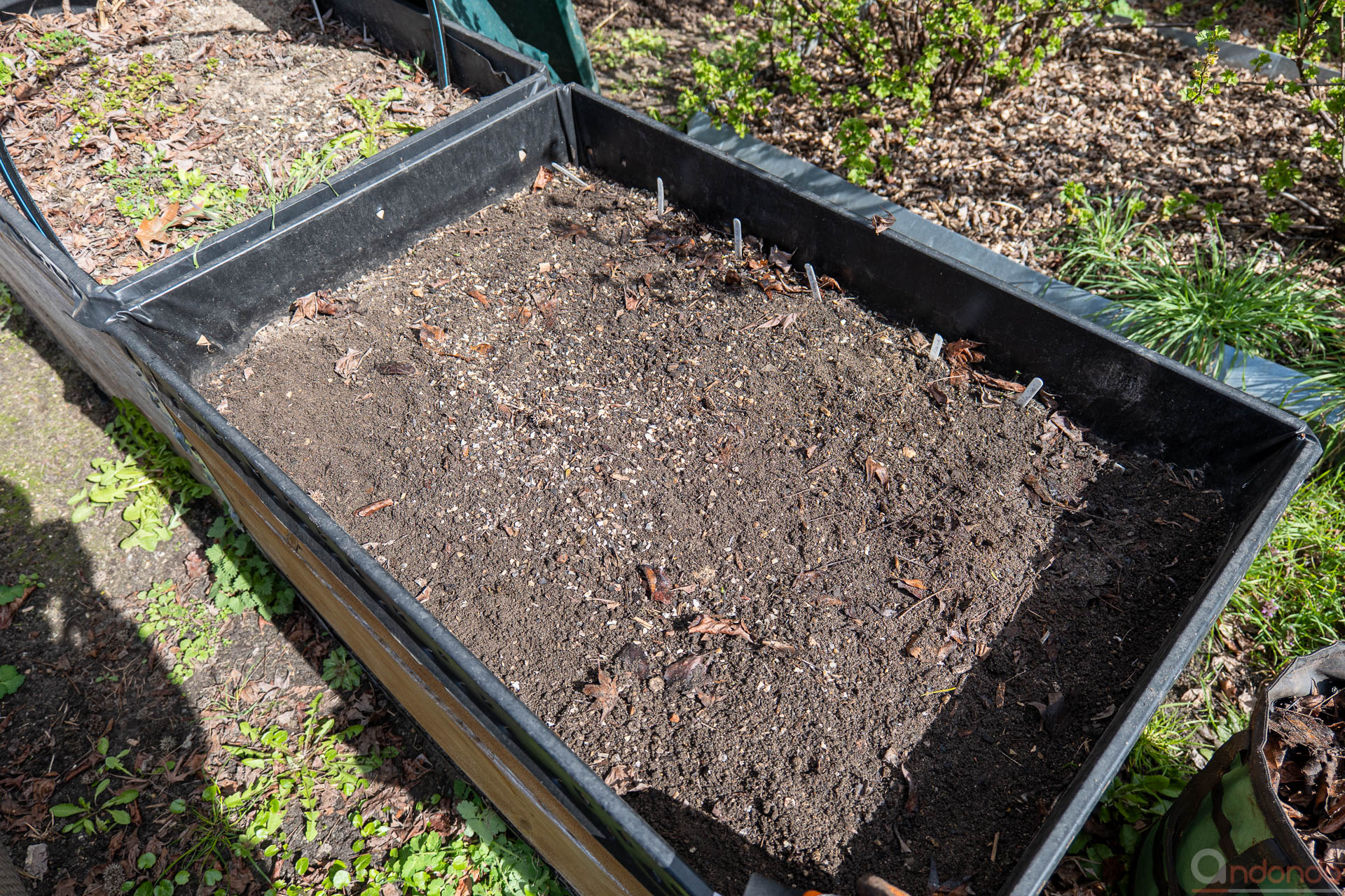 Hochbeete von Laub befreit