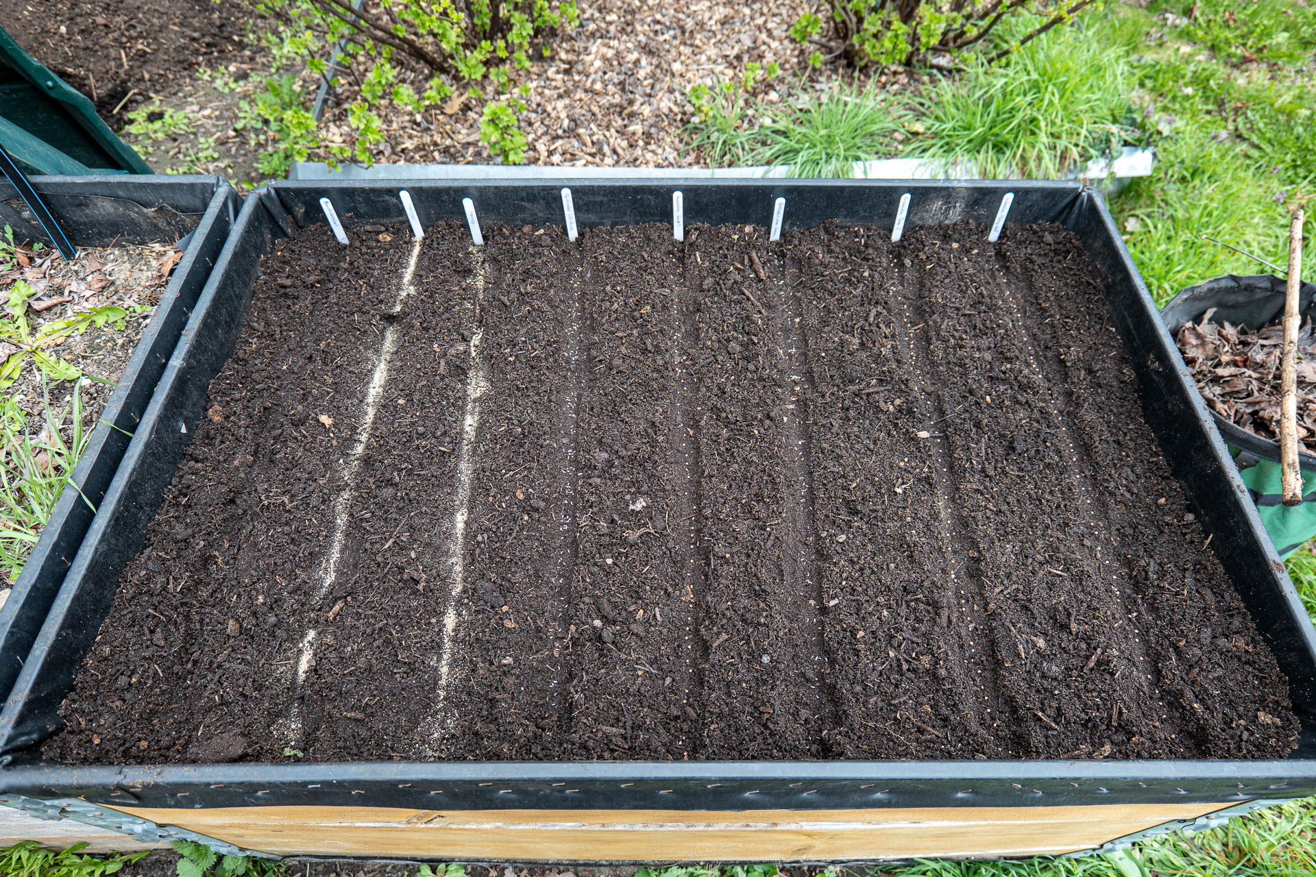 Radieschen, Pflücksalate, Möhren, Lauchzwiebeln