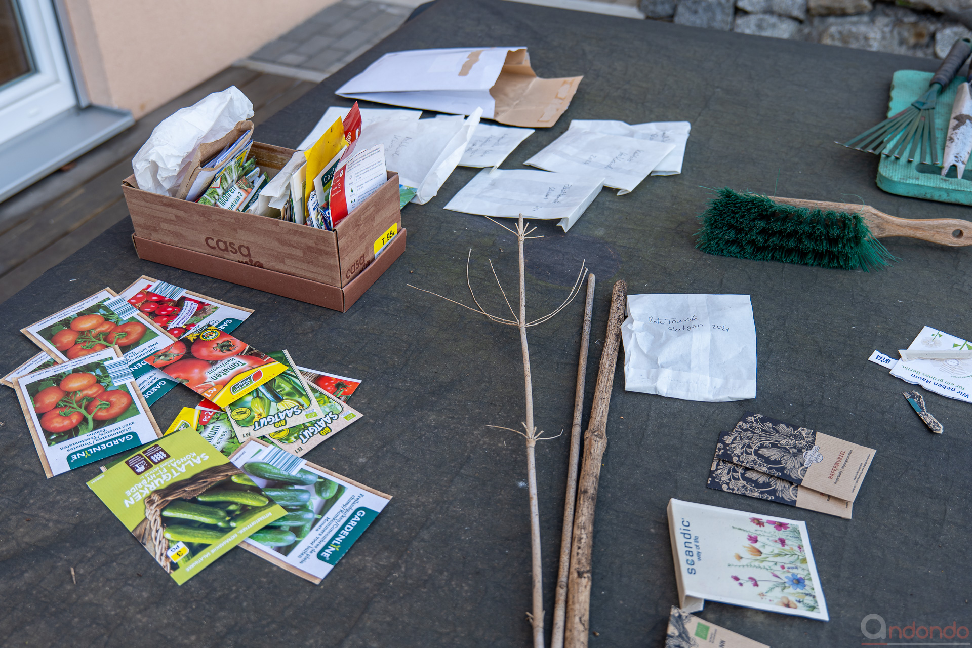 Blumen- und Staudensamen