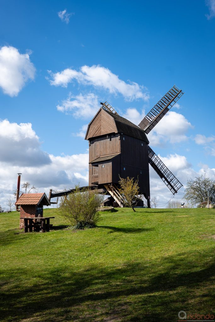 Bockwindmühle (4)