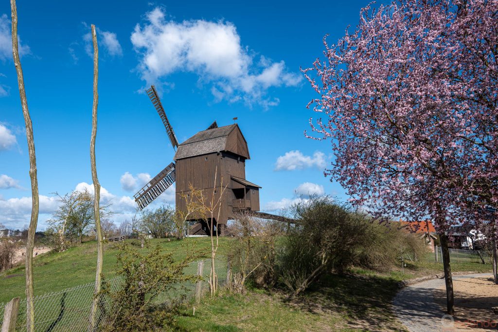 Bockwindmühle (5)